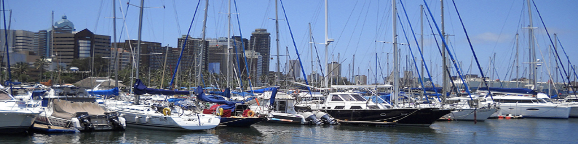 A Serene Evening at Wilson's Wharf: Balancing Work and Serenity