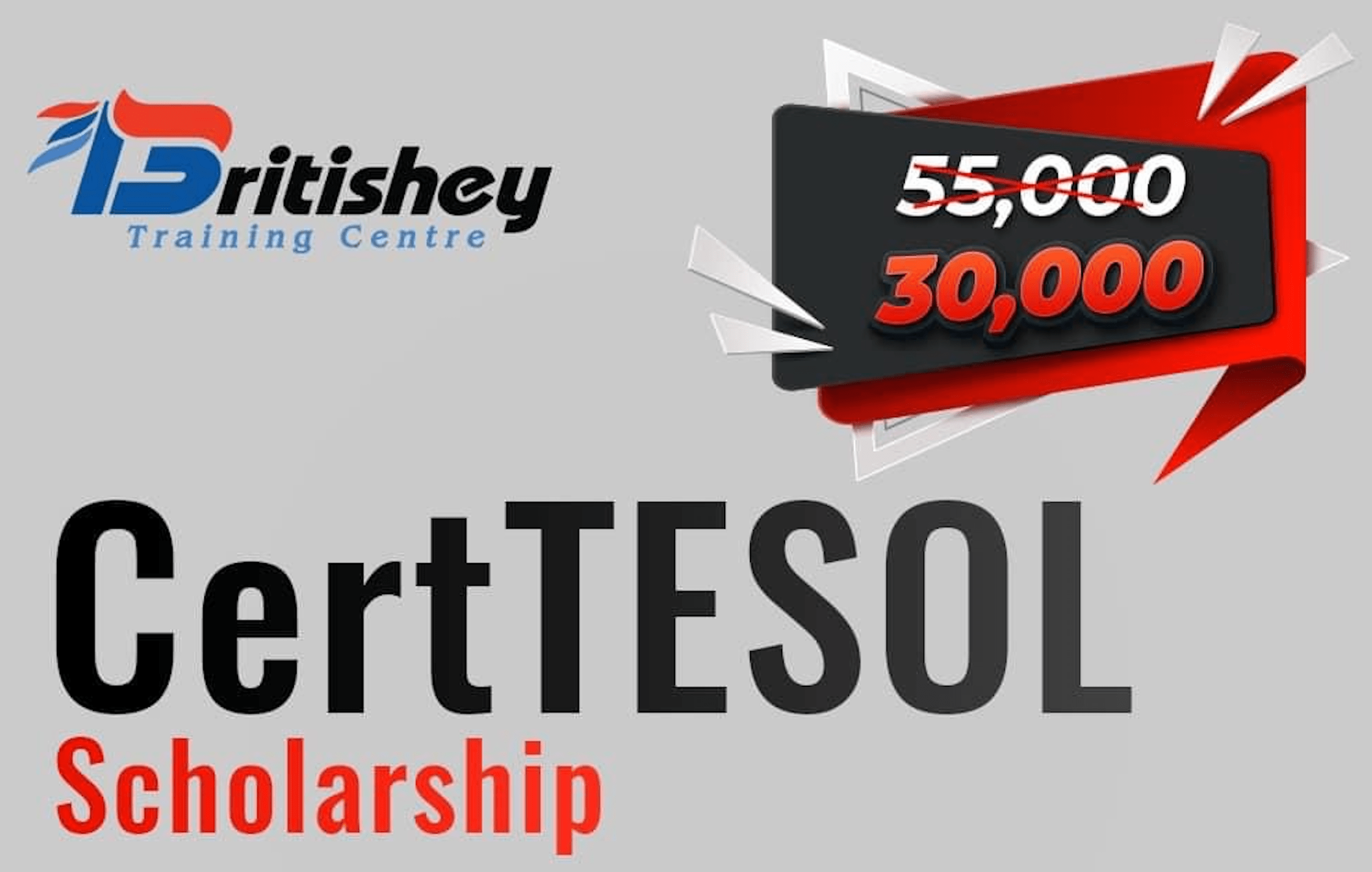 CertTESOL Scholarship